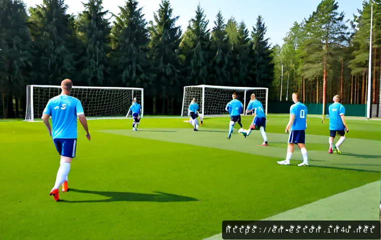 에스토니아 축구 대표팀 및 리그 정보 관련 이미지 1